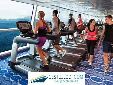 CELEBRITY ECLIPSE -  fitness