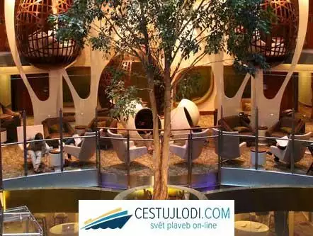 CELEBRITY SILHOUETTE - strom