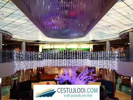 NORWEGIAN JEWEL - recepce