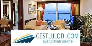 Penthouse s velkým balkonem